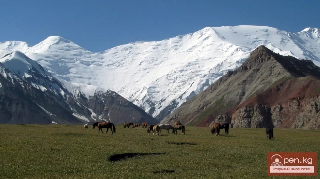 Ленин чокусу