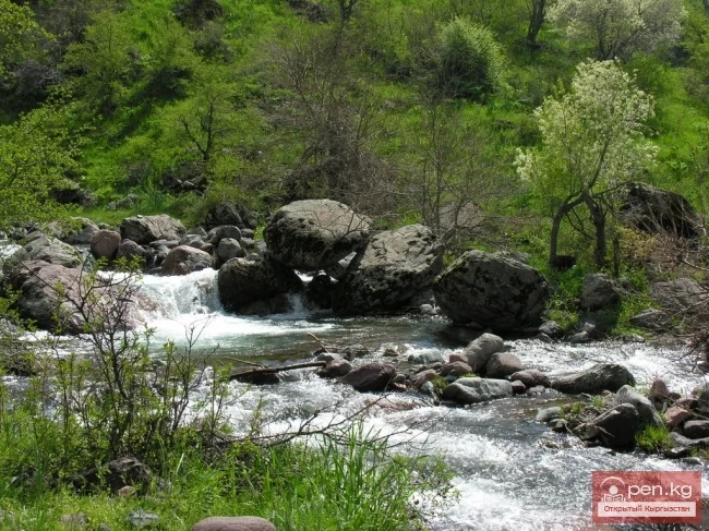 Кызыл-Суу дарыясы