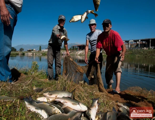 Wildlife of Kyrgyzstan