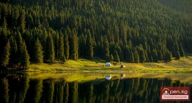 Леса Кыргызстана