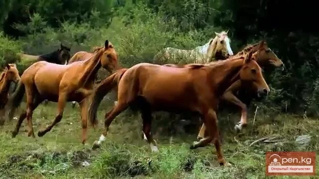 Кыргызская Республика - это наша земля