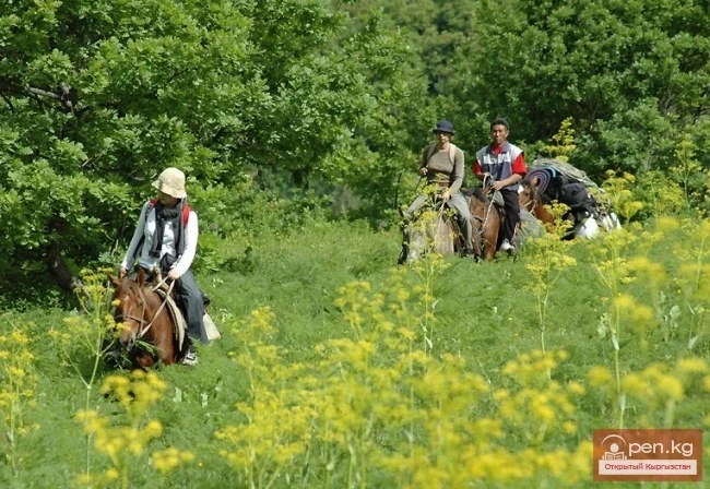 Ecosystems and Protected Areas of Kyrgyzstan