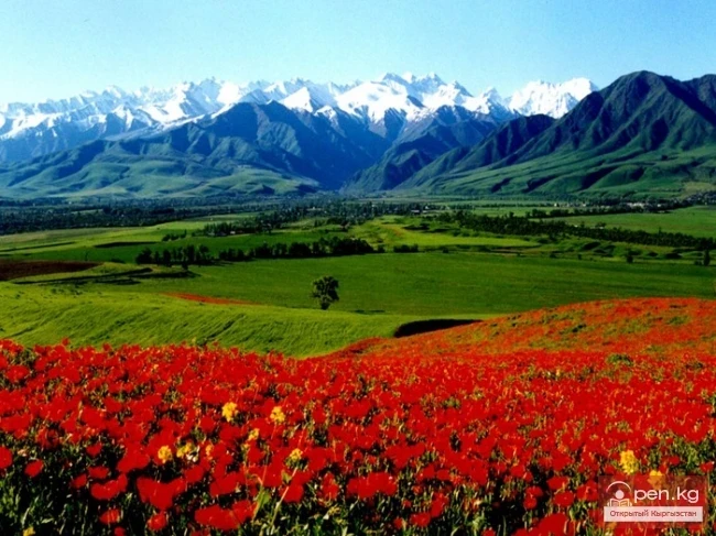Valley of the Chatkal River