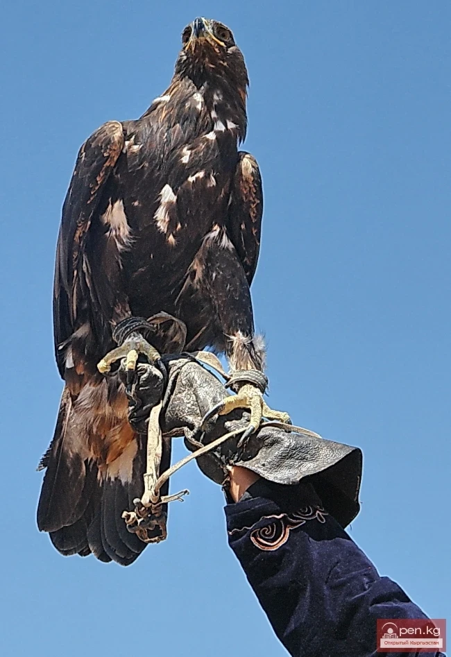 Wildlife of Kyrgyzstan