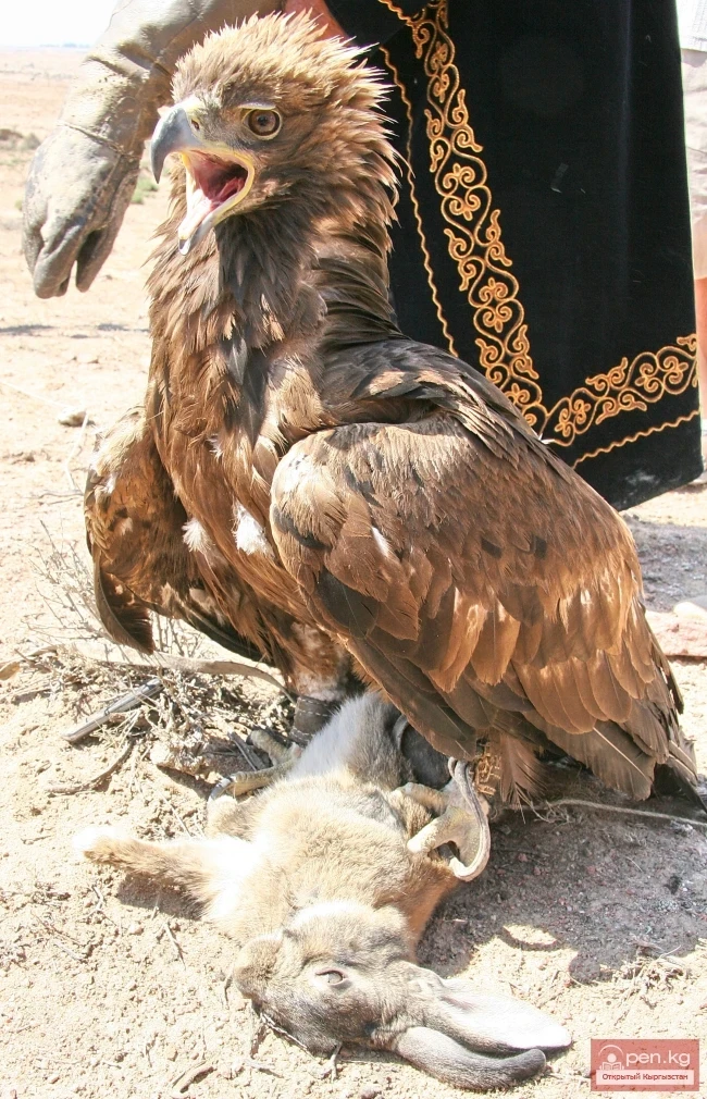 Wildlife of Kyrgyzstan