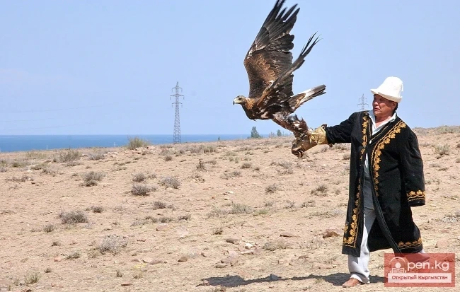 Wildlife of Kyrgyzstan