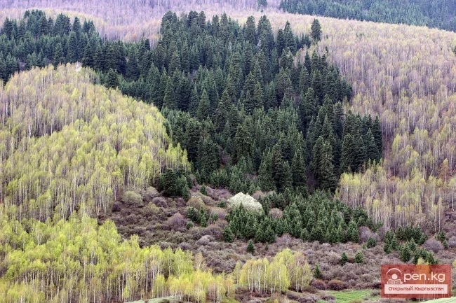 Nature of Kyrgyzstan