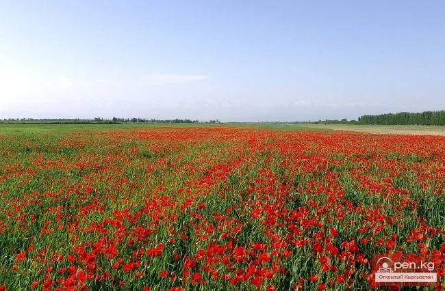Nature of Kyrgyzstan
