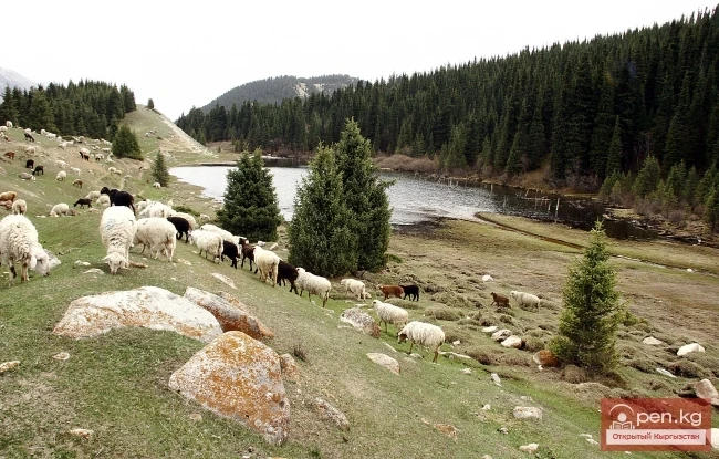 Nature of Kyrgyzstan