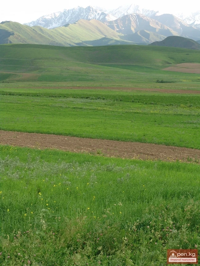 Nature of Kyrgyzstan