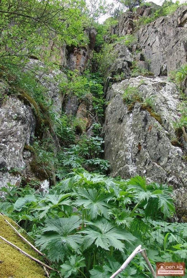 Nature of Kyrgyzstan