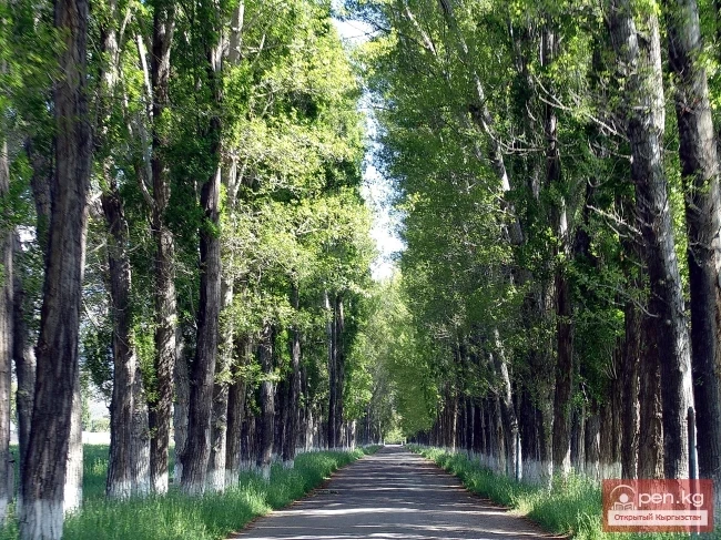 Nature of Kyrgyzstan