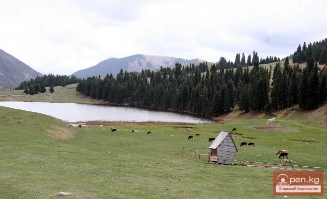 Nature of Kyrgyzstan