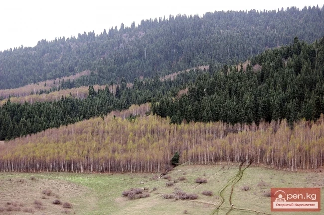 Nature of Kyrgyzstan