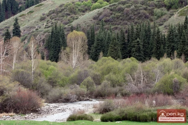 Nature of Kyrgyzstan