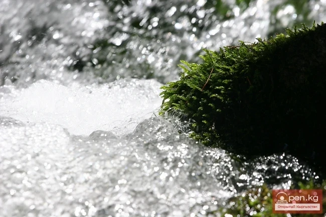 Nature of Kyrgyzstan