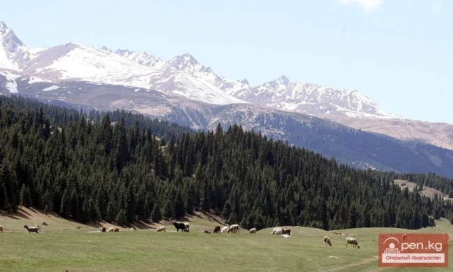 Nature of Kyrgyzstan