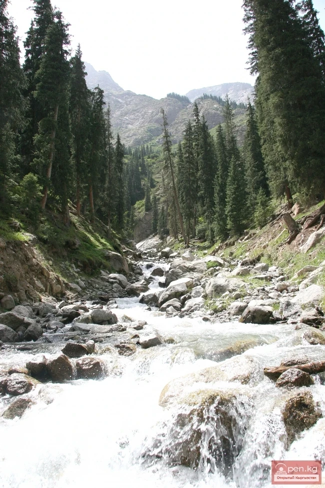 Nature of Kyrgyzstan