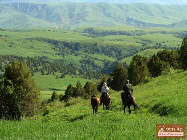 Aksu-Zhabagly Nature Reserve