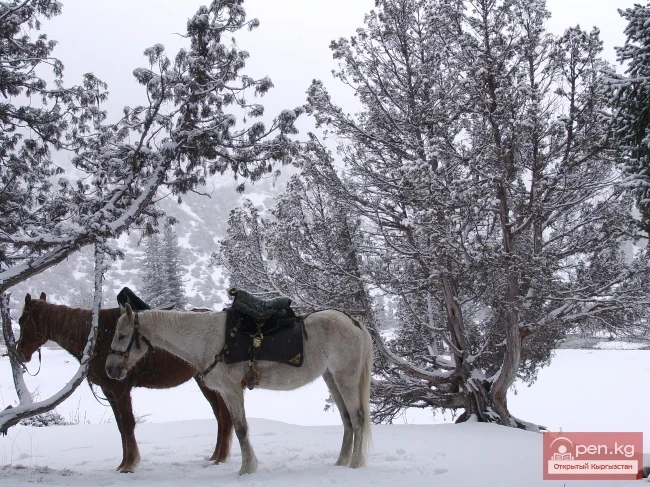 Winter in Kyrgyzstan