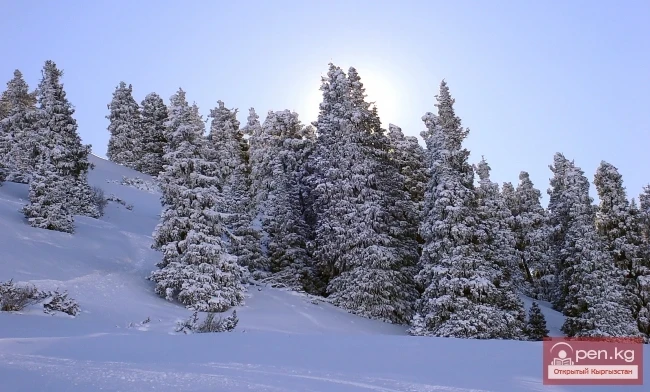 Winter in Kyrgyzstan