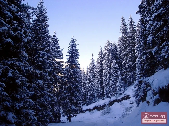 Winter in Kyrgyzstan