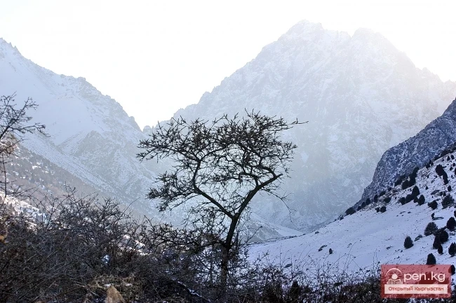 Winter in Kyrgyzstan