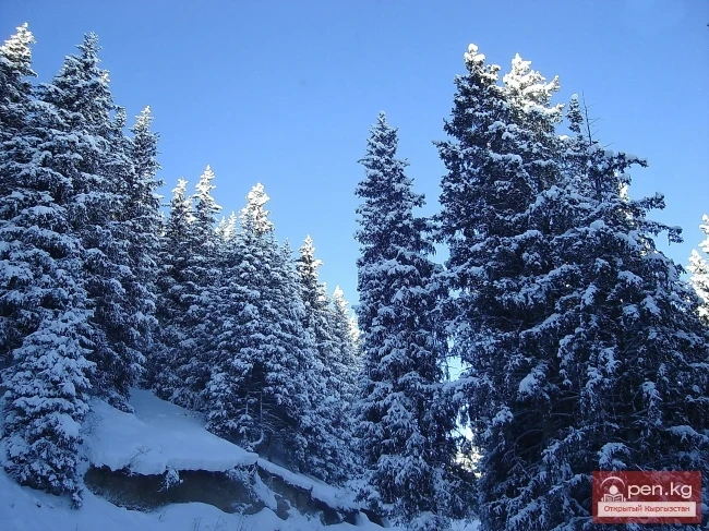 Winter in Kyrgyzstan