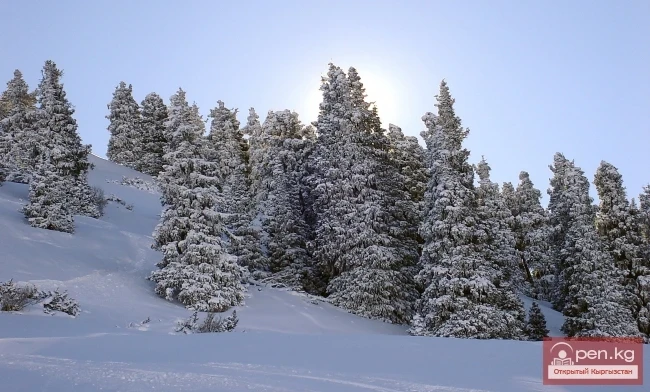 Winter in Kyrgyzstan