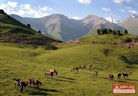 Экономика кыргызов с древнейших времен до VI века