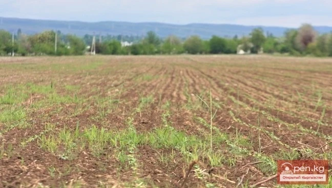 Агроөнөр жай, Кыргызстандагы жер ресурстары