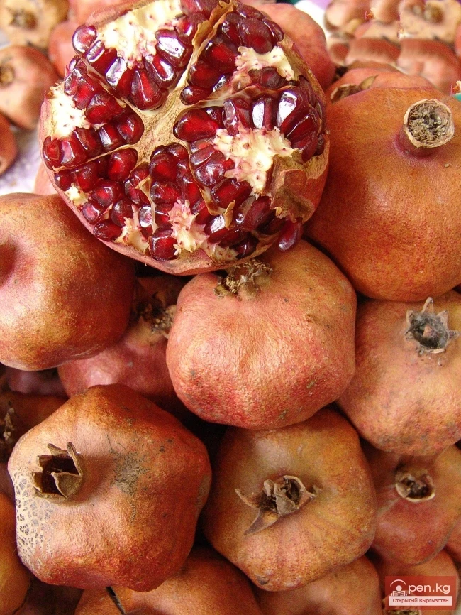 Кыргызстандын өсімдүк дүйнөсү