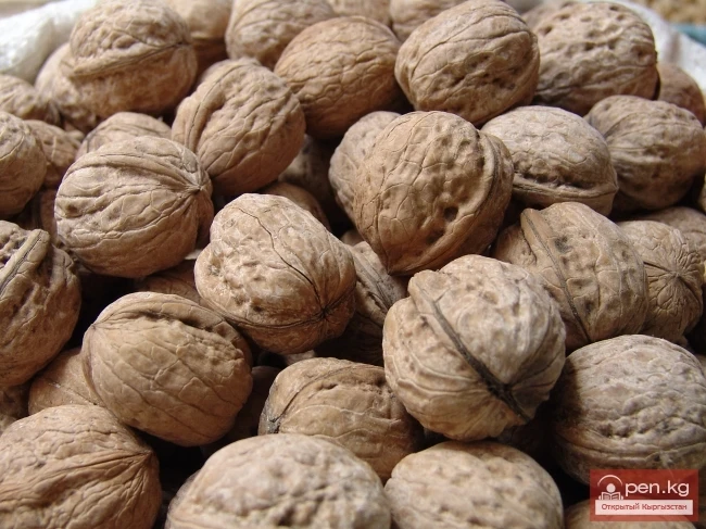 Кыргызстандын өсімдүк дүйнөсү