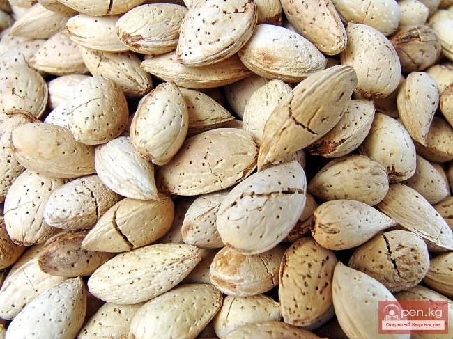 Кыргызстандын өсімдүк дүйнөсү