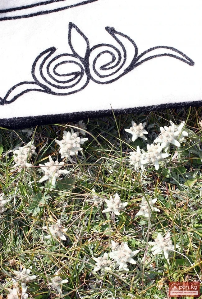 Кыргызстандын өсімдүк дүйнөсү