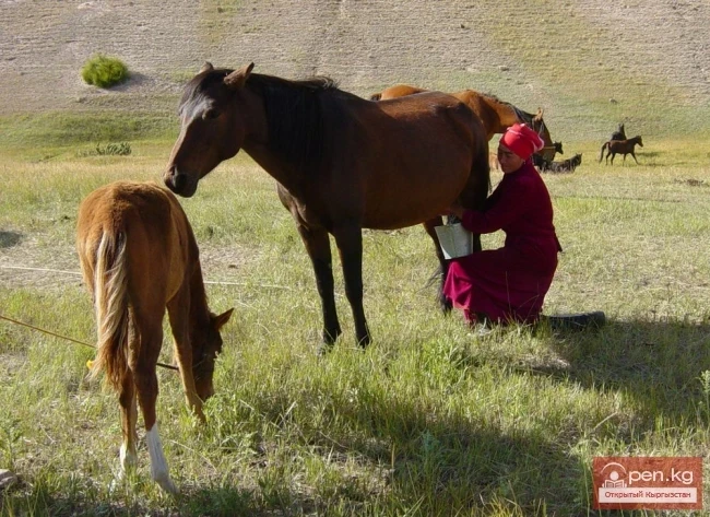 Табигый ресурстар 1917-1991-жылдарда