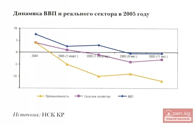 Dynamics of GDP and the real sector in 2005