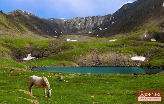 Geological Structure and Tectonics of the Chuy Valley