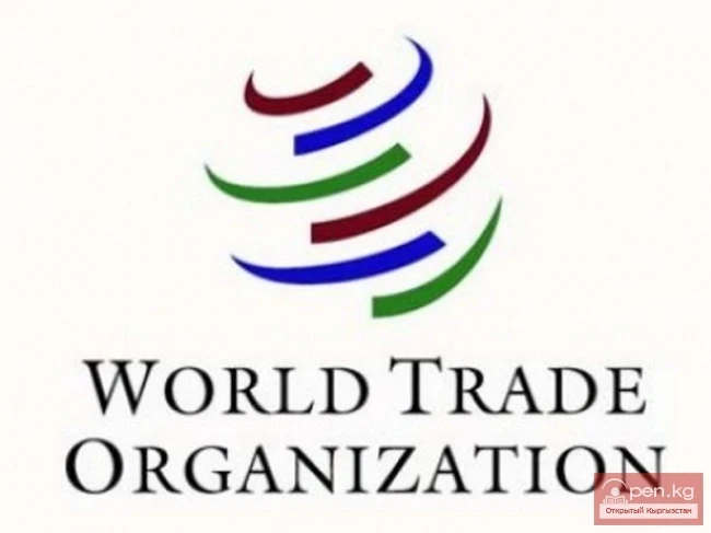 Кыргызстан — ДСУ