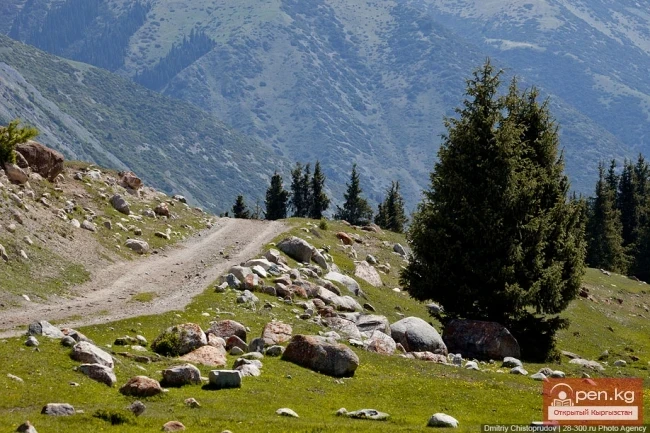 Relief of the Chuy Valley