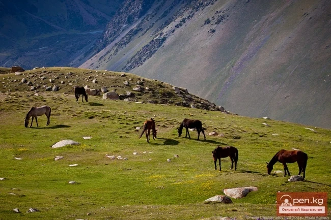 Climate in the Chui Valley