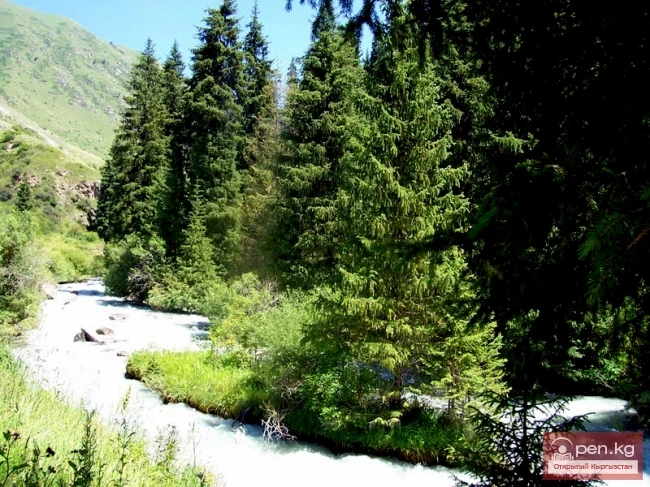 Ак-Суу дарыясы