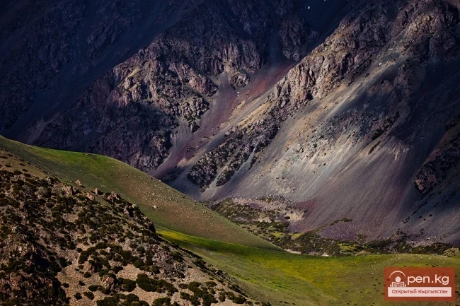 Adverse Natural Disastrous Processes