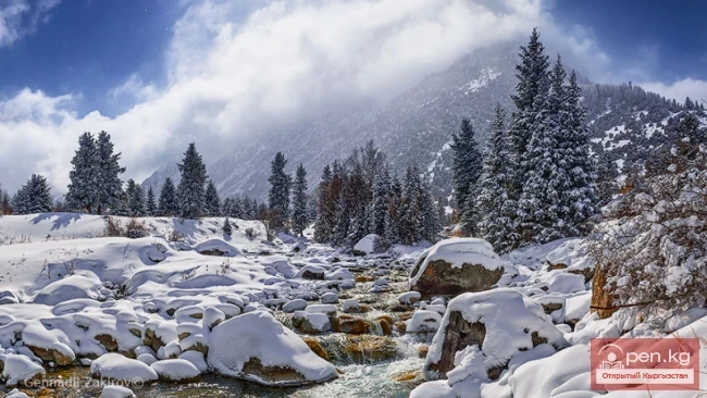 Коргоого алынган табигый аймактар жана резервдик ишмердик