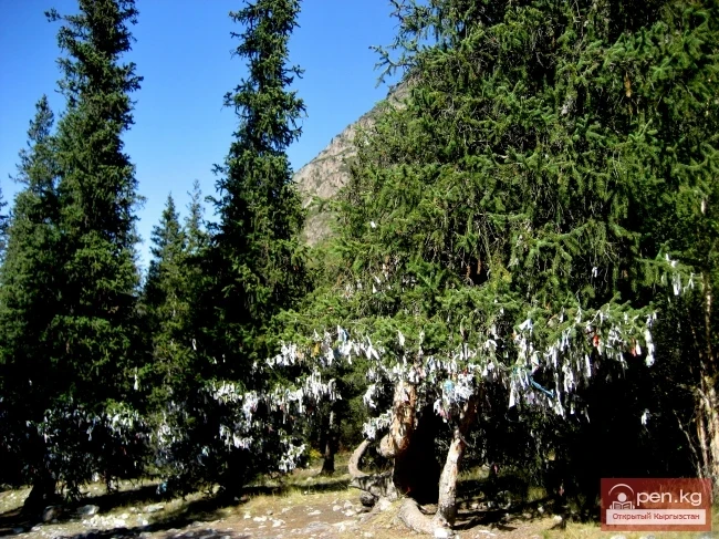 Кыргыздардын салттары