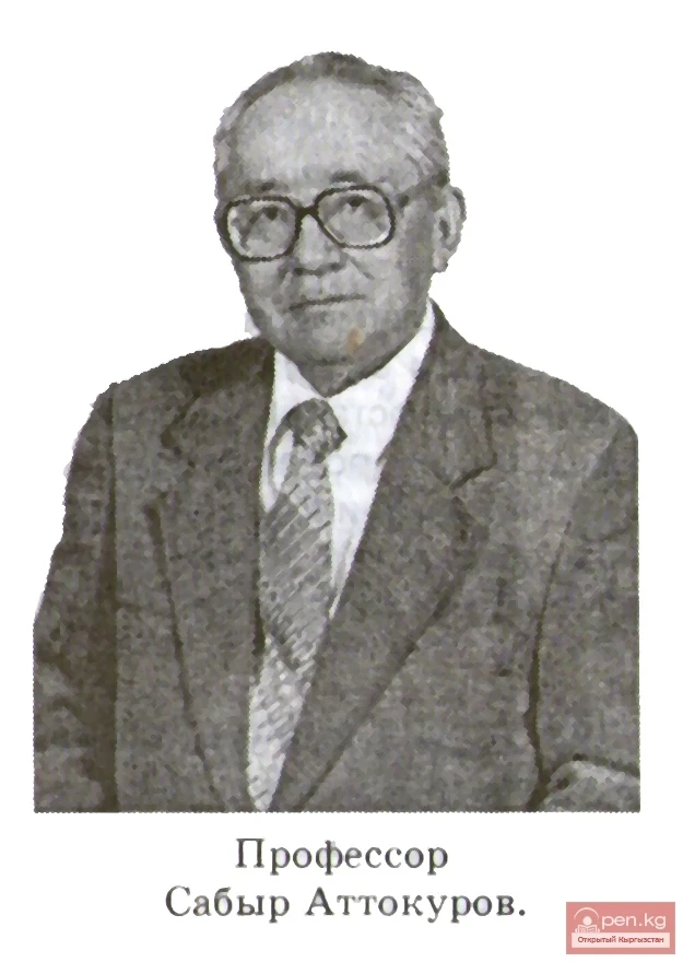 Genealogy of the Kyrgyz: Sabyr Attokurov