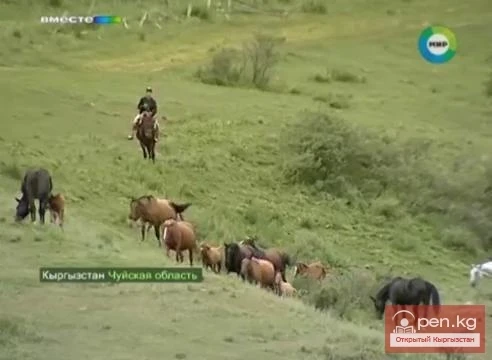 В Кыргызстане развивается кумысный туризм
