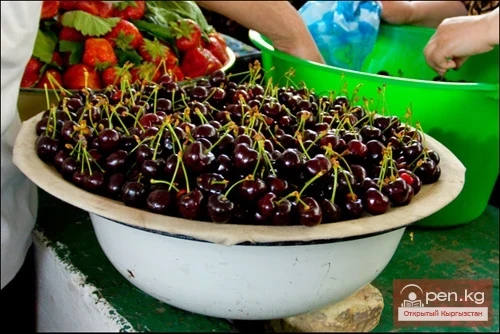 City of Osh City of Osh