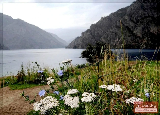 Sary-Chelek Nature Reserve