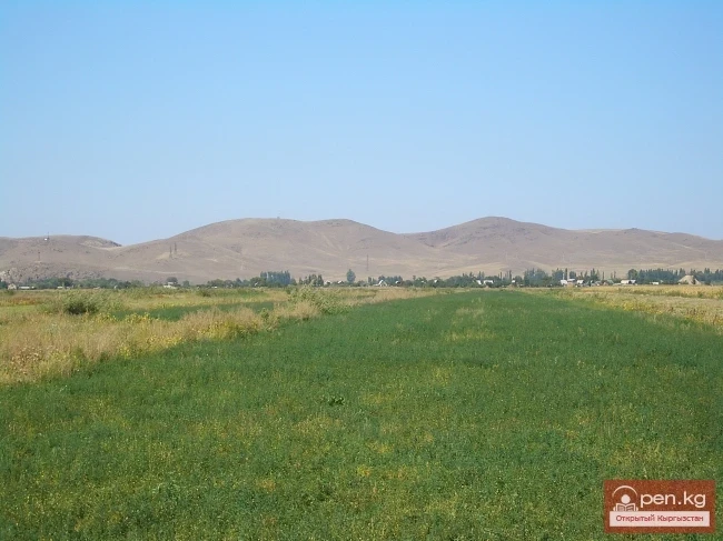 В Узгенском районе из-за повышения уровня воды в реке Жазы под угрозой затопления находится 110 га